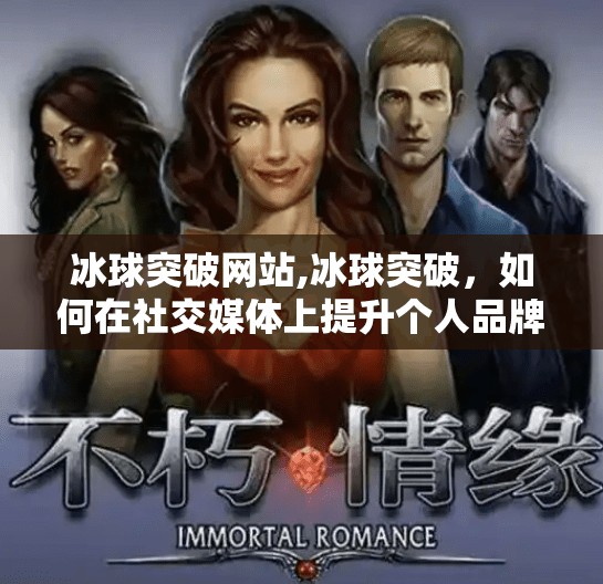 冰球突破网站,冰球突破，如何在社交媒体上提升个人品牌