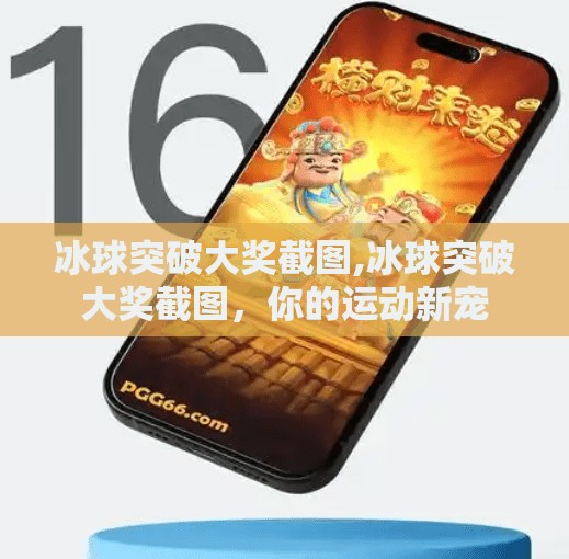 冰球突破大奖截图,冰球突破大奖截图，你的运动新宠