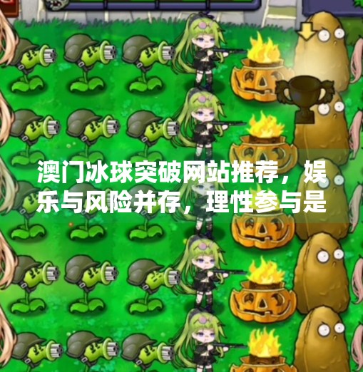 澳门冰球突破网站推荐，娱乐与风险并存，理性参与是关键！澳门冰球突破网站推荐