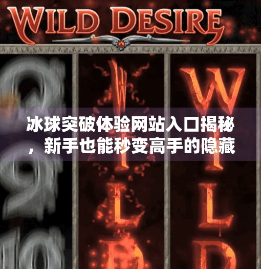 冰球突破体验网站入口揭秘，新手也能秒变高手的隐藏玩法！冰球突破体验网站入口