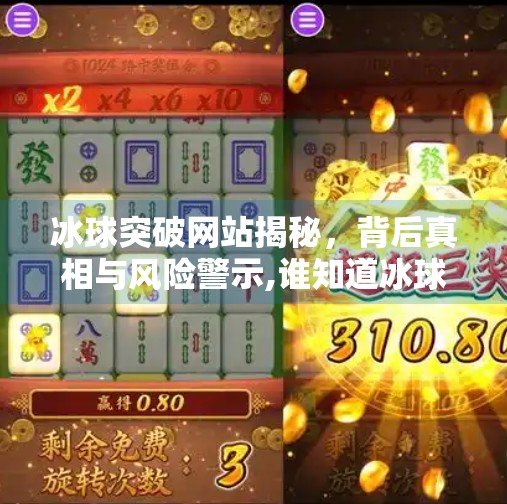 冰球突破网站揭秘，背后真相与风险警示,谁知道冰球突破网站