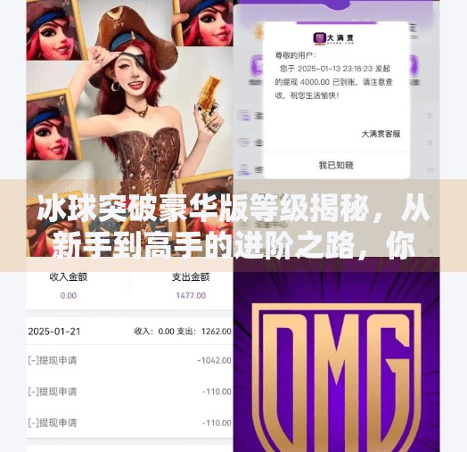 冰球突破豪华版等级揭秘，从新手到高手的进阶之路，你离顶级玩家还有多远？冰球突破豪华版等级