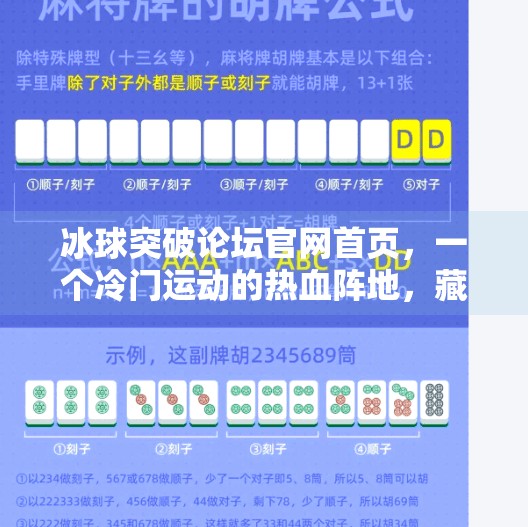 冰球突破论坛官网首页，一个冷门运动的热血阵地，藏着多少年轻人的热爱与坚持？冰球突破论坛官网首页