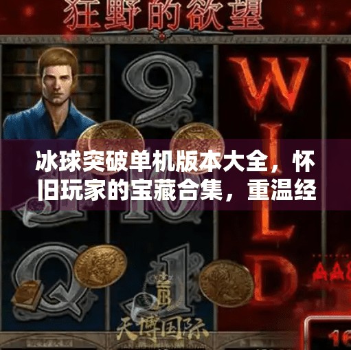 冰球突破单机版本大全，怀旧玩家的宝藏合集，重温经典街机乐趣！冰球突破单机版本大全