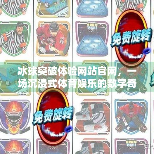 冰球突破体验网站官网，一场沉浸式体育娱乐的数字奇遇,冰球突破体验网站官网
