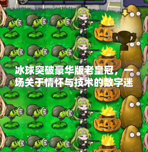 冰球突破豪华版老皇冠，一场关于情怀与技术的数字迷局,冰球突破豪华版老皇冠