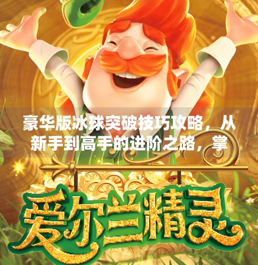 豪华版冰球突破技巧攻略，从新手到高手的进阶之路，掌握这些秘籍让你轻松制霸赛场！豪华版冰球突破技巧攻略