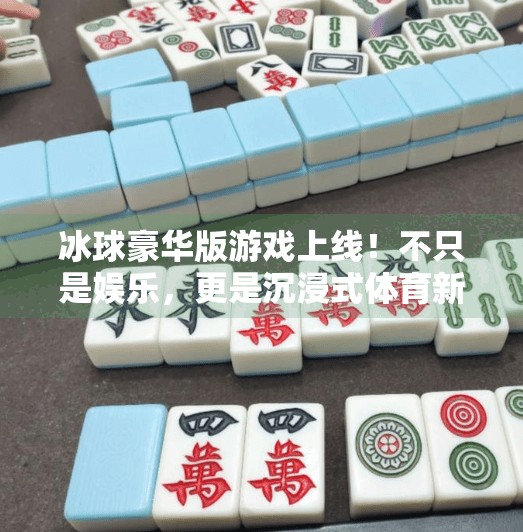 冰球豪华版游戏上线！不只是娱乐，更是沉浸式体育新体验！突破冰球豪华版游戏