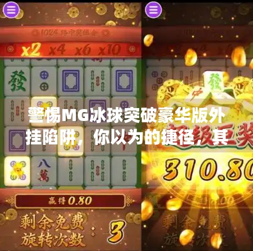 警惕MG冰球突破豪华版外挂陷阱，你以为的捷径，其实是深渊！mg冰球突破豪华版外挂