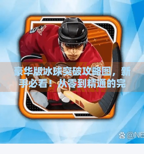 豪华版冰球突破攻略图,新手必看!从零到精通的完整进阶指南,豪华版冰球突破攻略图